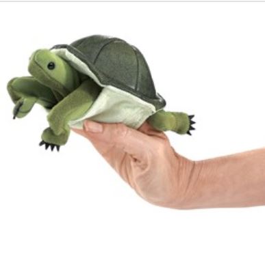 turtle.JPG