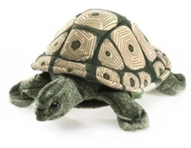 Turtle hand puppet.JPG