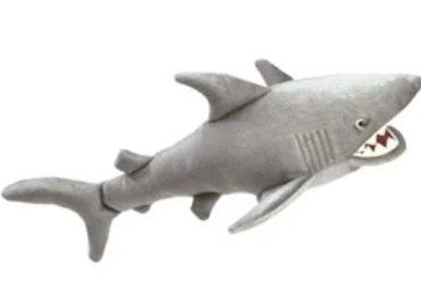 shark.JPG
