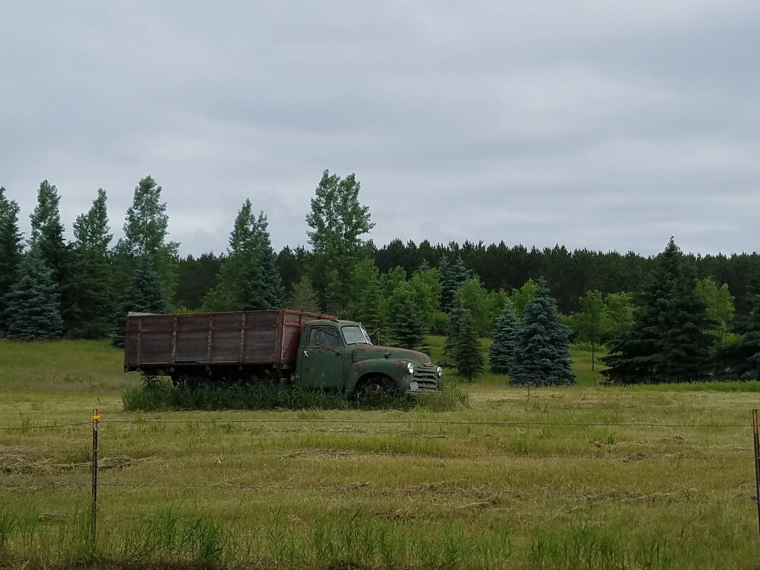 20170629_084422.jpg