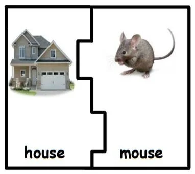 mouse.JPG