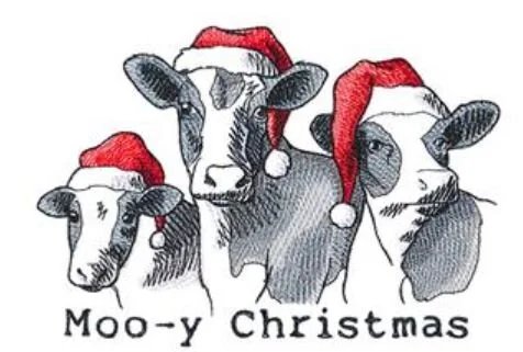 mooy xmas.JPG