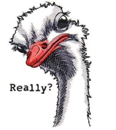 really.JPG