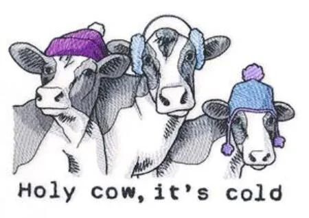 holy cow.JPG