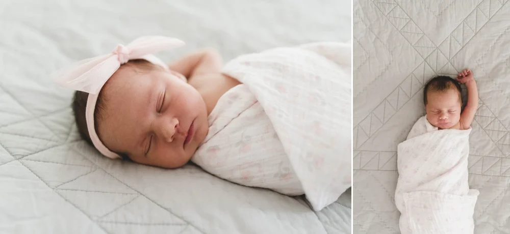 Lily-1.jpg
