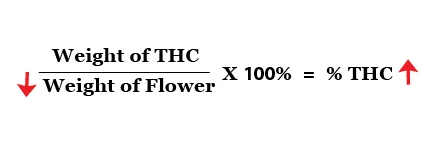 Equations down-03.jpg