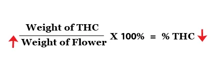 Equations up-03.jpg