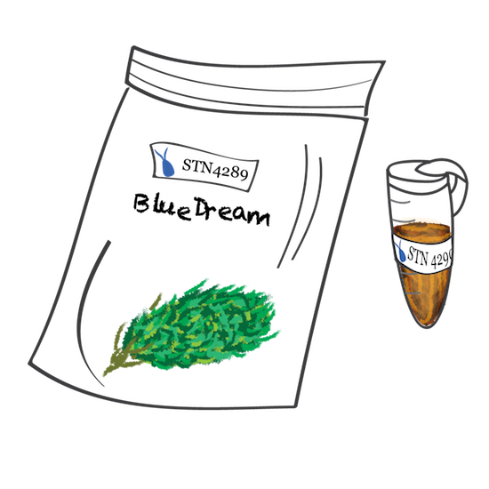 Examples of a flower and a concentrate sample with STN numbers