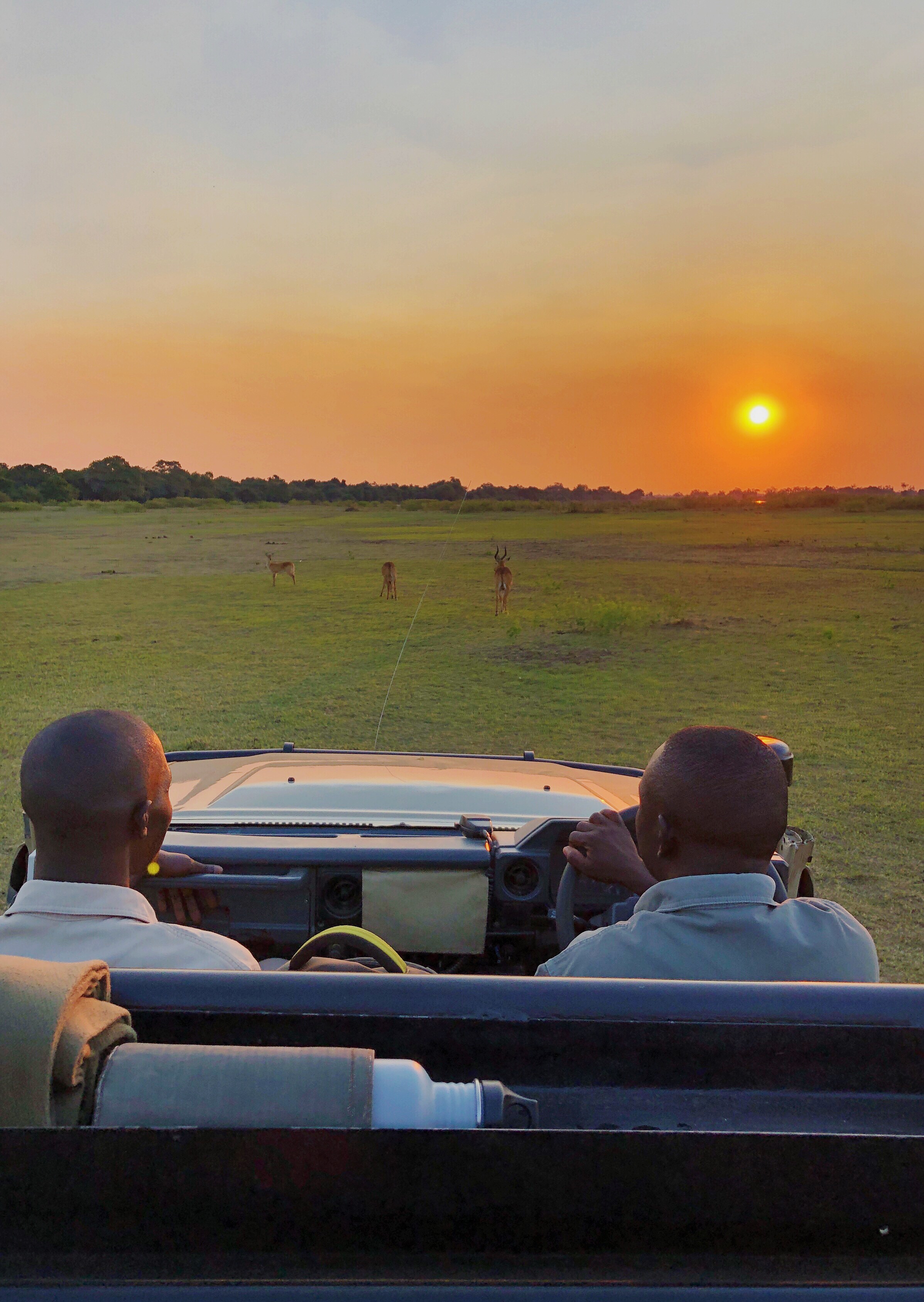 THE DAILY BEAST: Why Zambia Should Be Your First Safari
