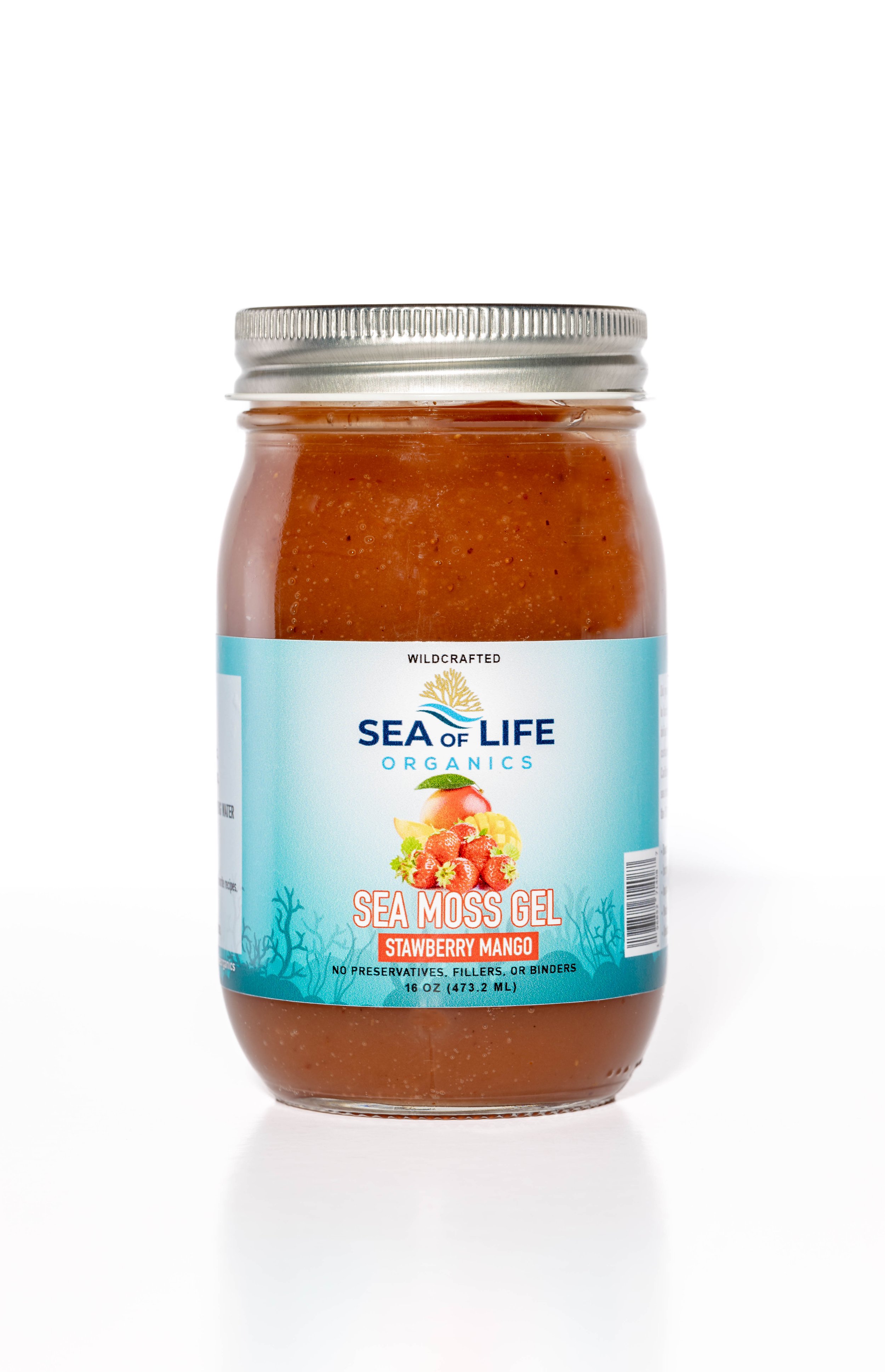 STRAW SEA MOSS final.jpg