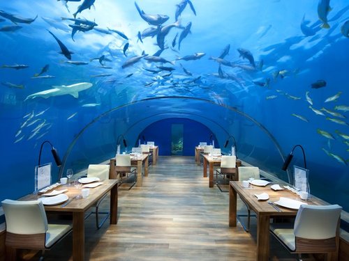 Dine underwater in the Maldives   Photo: Copyright Conrad Hotel &amp; Resorts Maldives &nbsp;