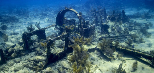 Go diving for Pirate's gold in the Keys!   Photo: Copyright Florida Keys National Marine Sanctuary