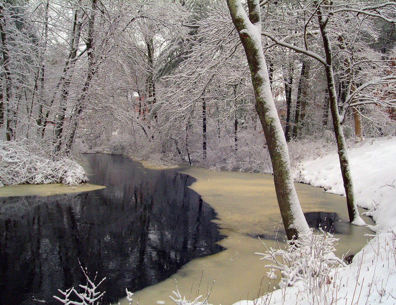 This is the Bogastow Brook at the back of the house.