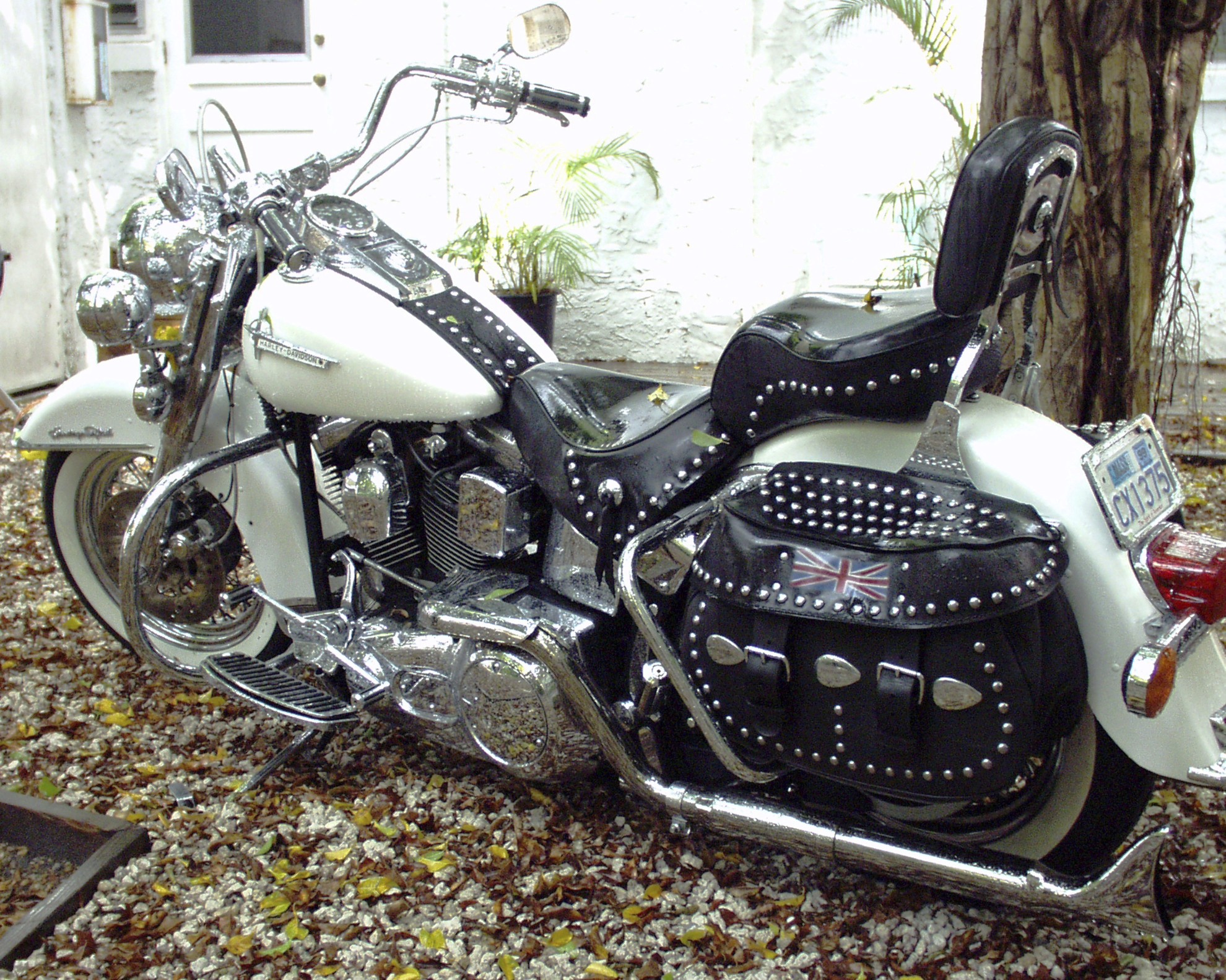 My first Harley modified