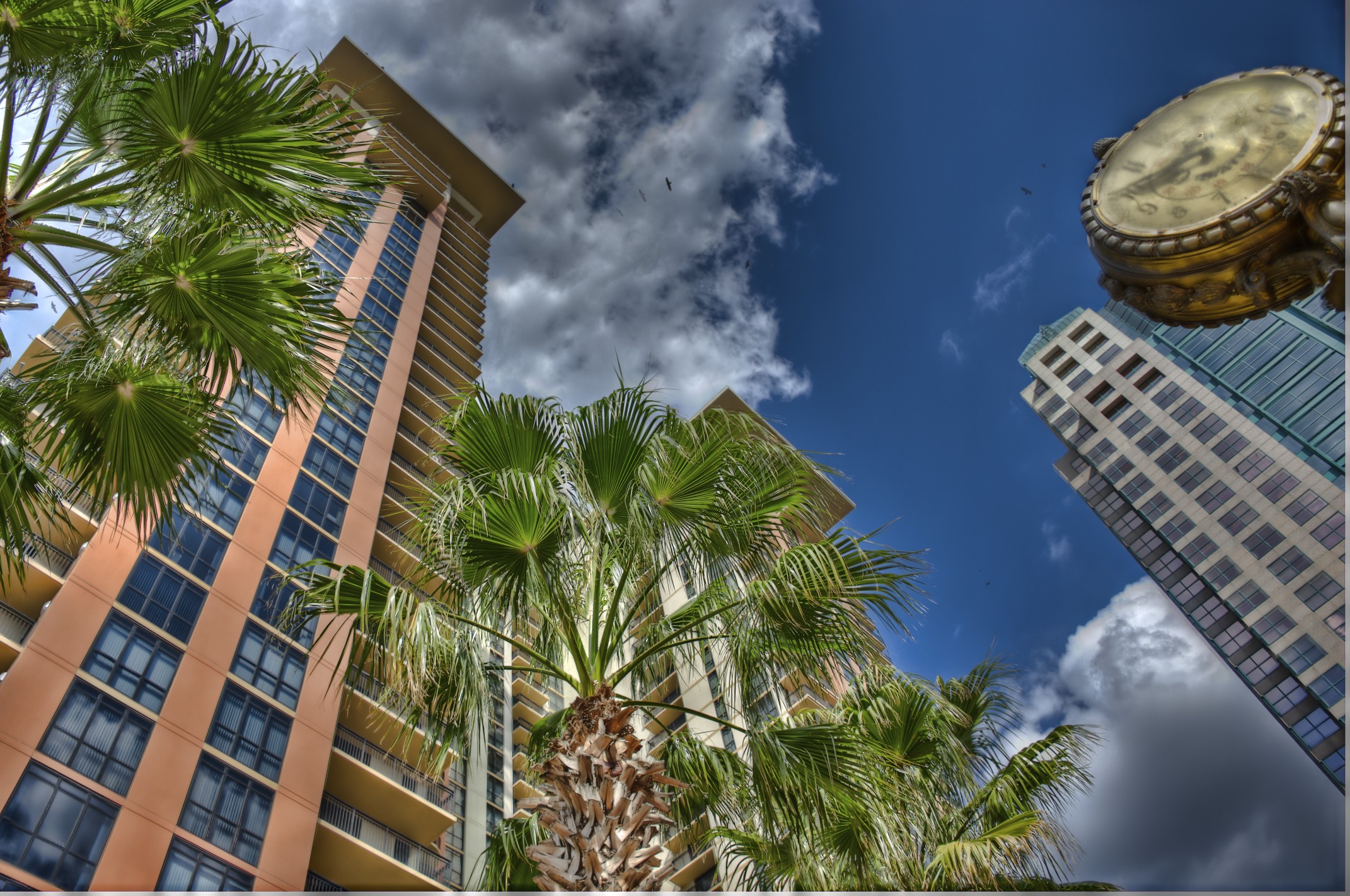 Orlando