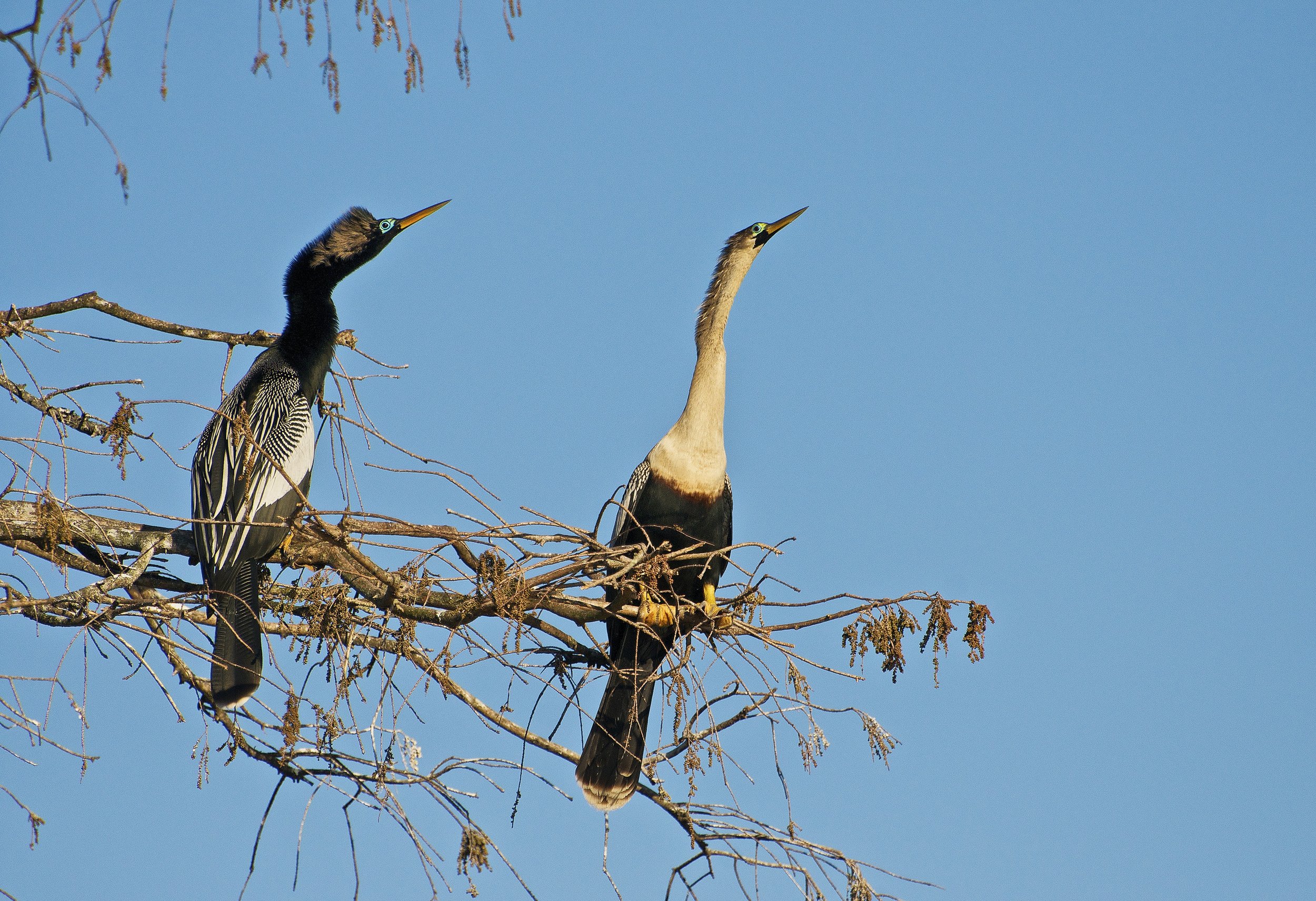 What the heck are they looking at?