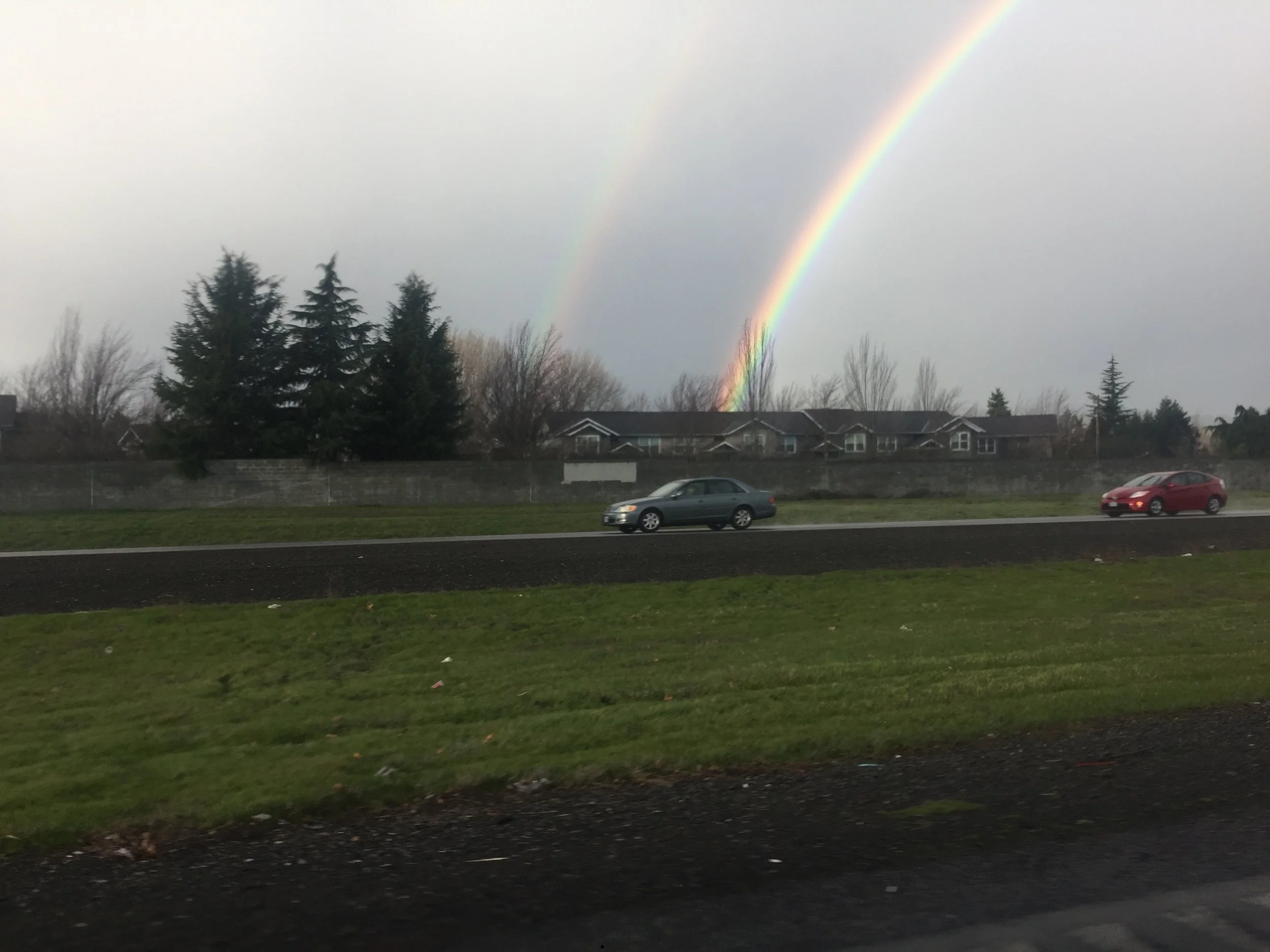 Lots of rainbows here- this is a double rainbow.