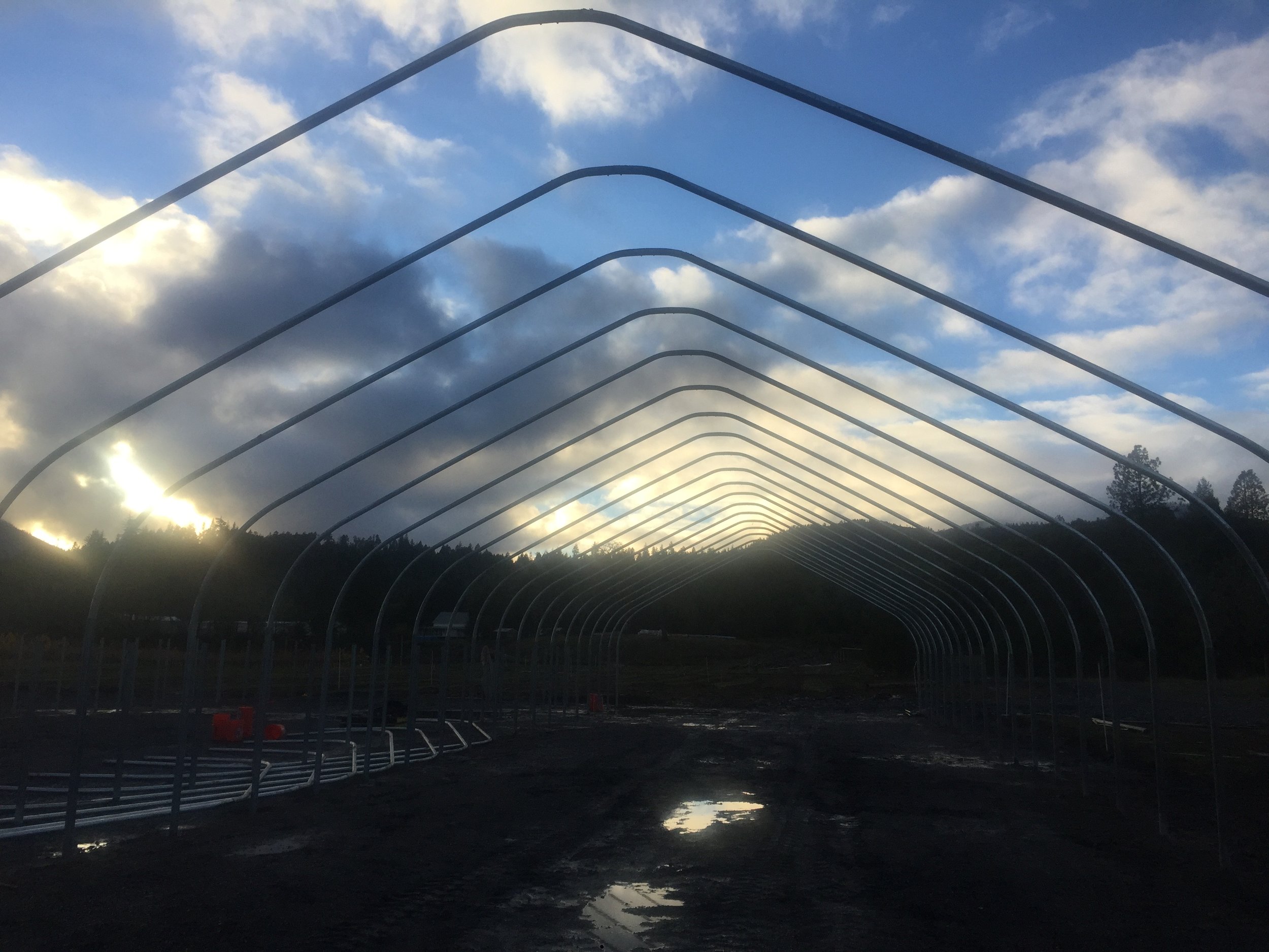 The greenhouse structure before being covered.