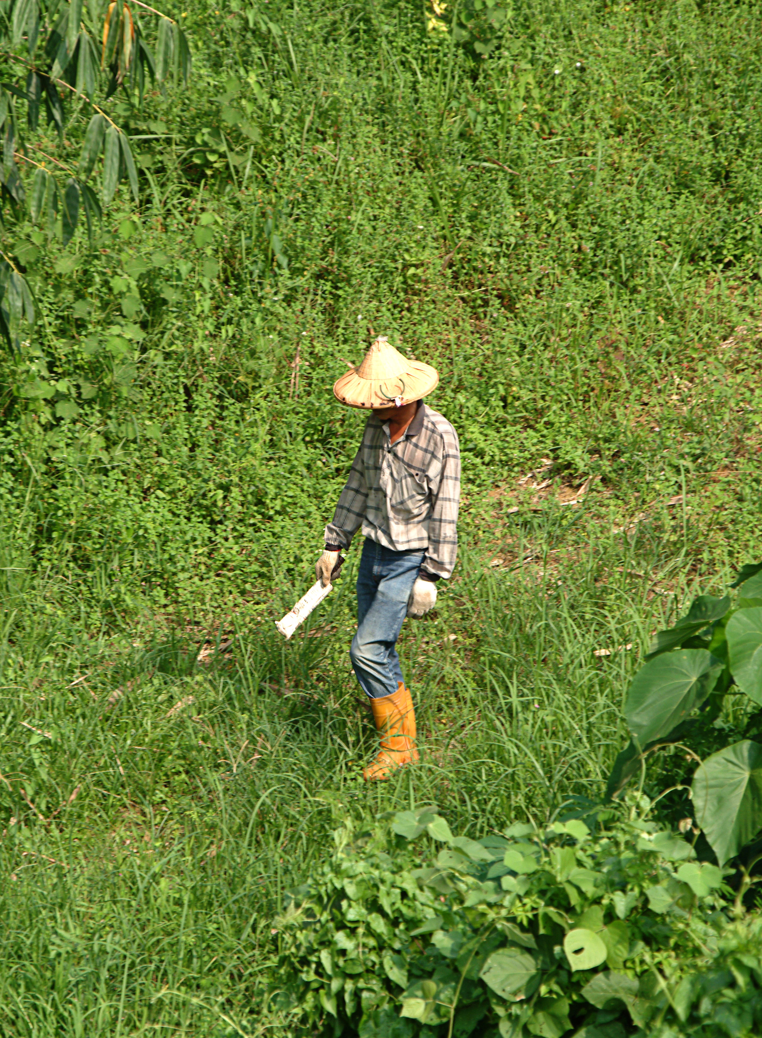 Plantation Worker