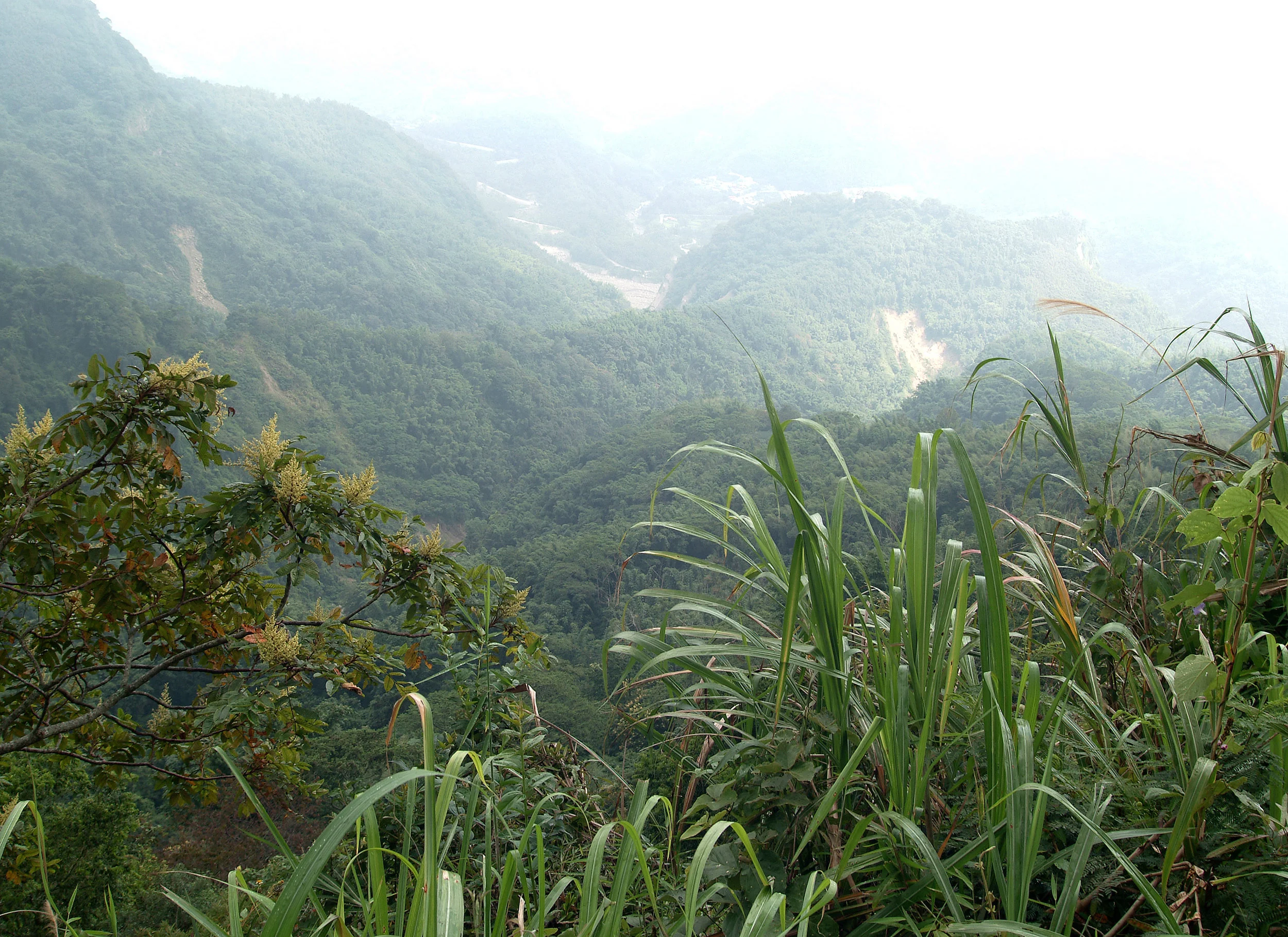 Getting to the top of Yushan or literally JADE Mountain or Mt Yu.