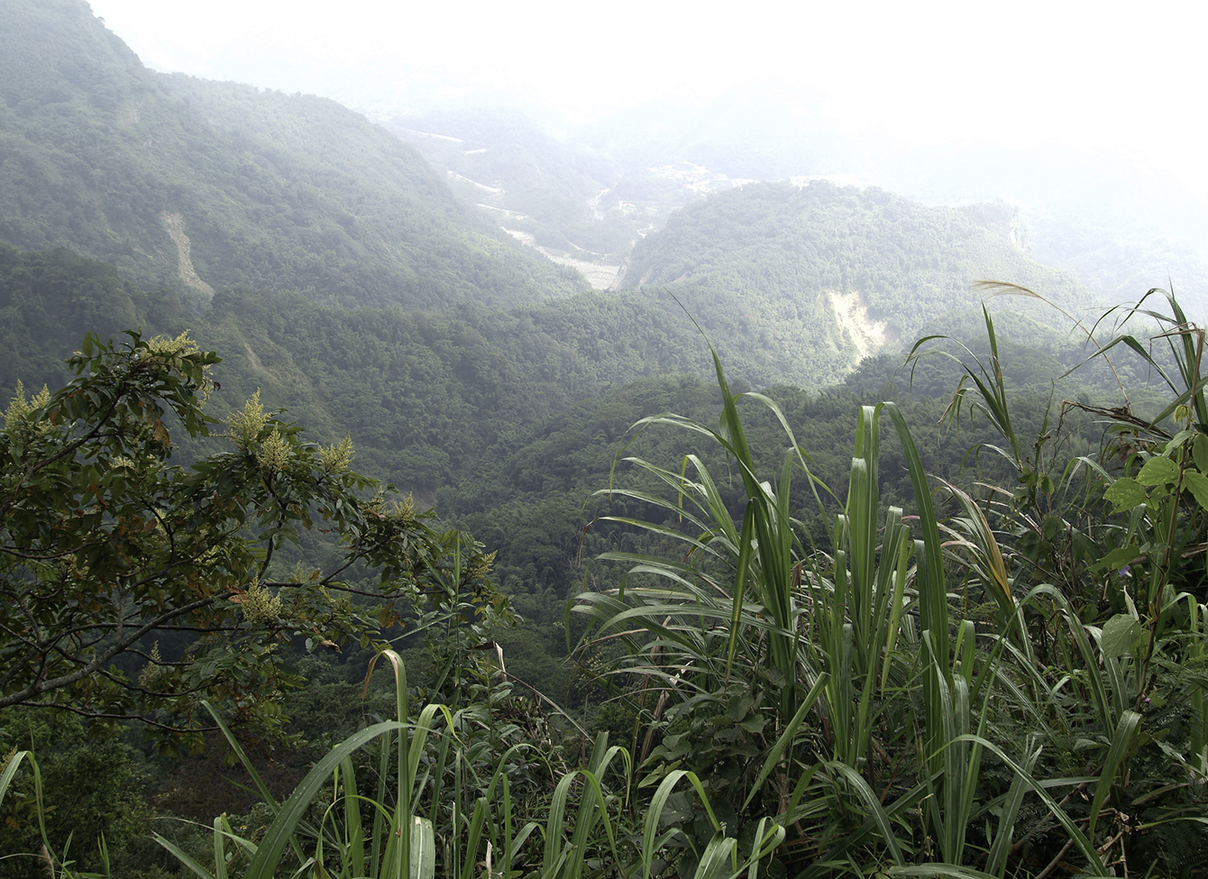 Yushasn Taiwan