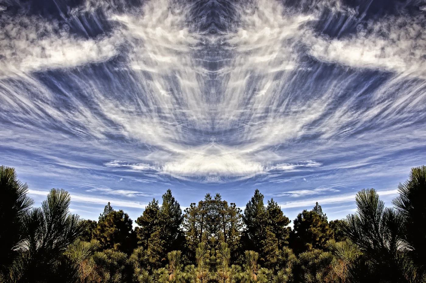 Arizona Sky.jpg