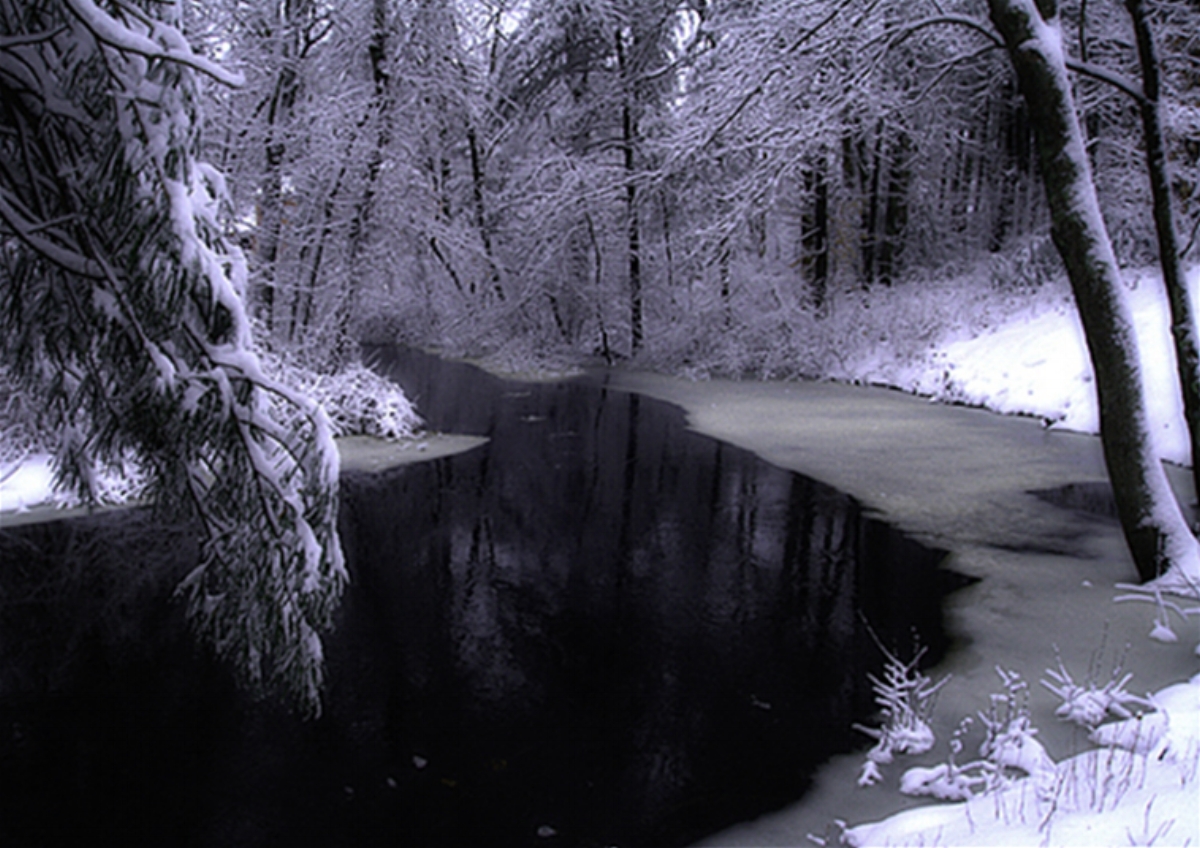 New England Winter