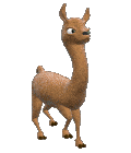 llama_walking_md_clr.gif