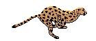 African-arts-crafts-website.gif
