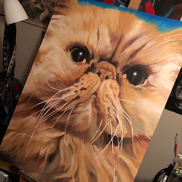 Almost done w the boog&rdquo; #wip #acrylicpainting #persiancat #tuckerarts #chubbs #booger #petpaintings #southflorida