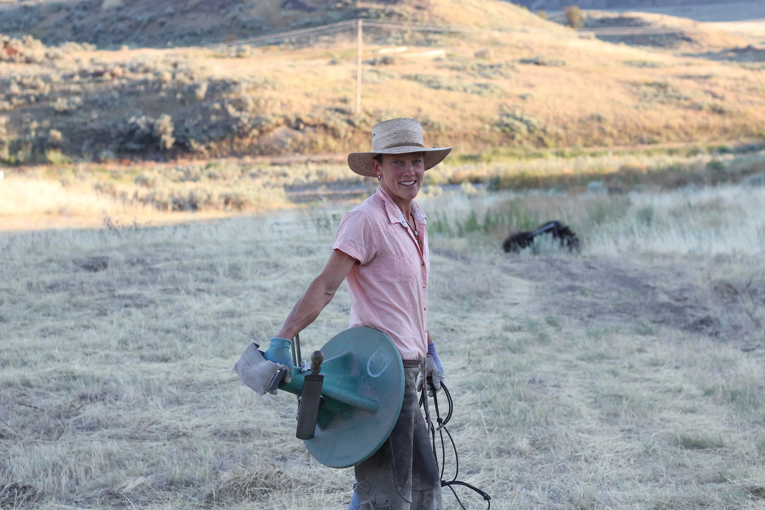 Clare: a student of horses (2014), short film, 16 min.