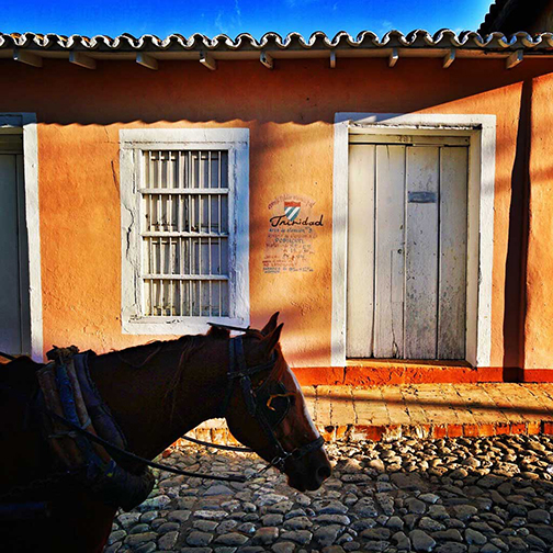 Horse in Trinidad Cuba