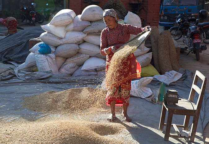 09-byers-camera-odysseys-Nepal-rice-2016- C26O7940.jpg
