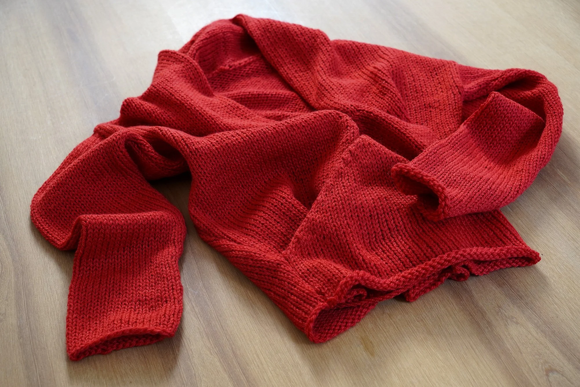 Q04.CROSS-SW—AW26-Red.04.jpg