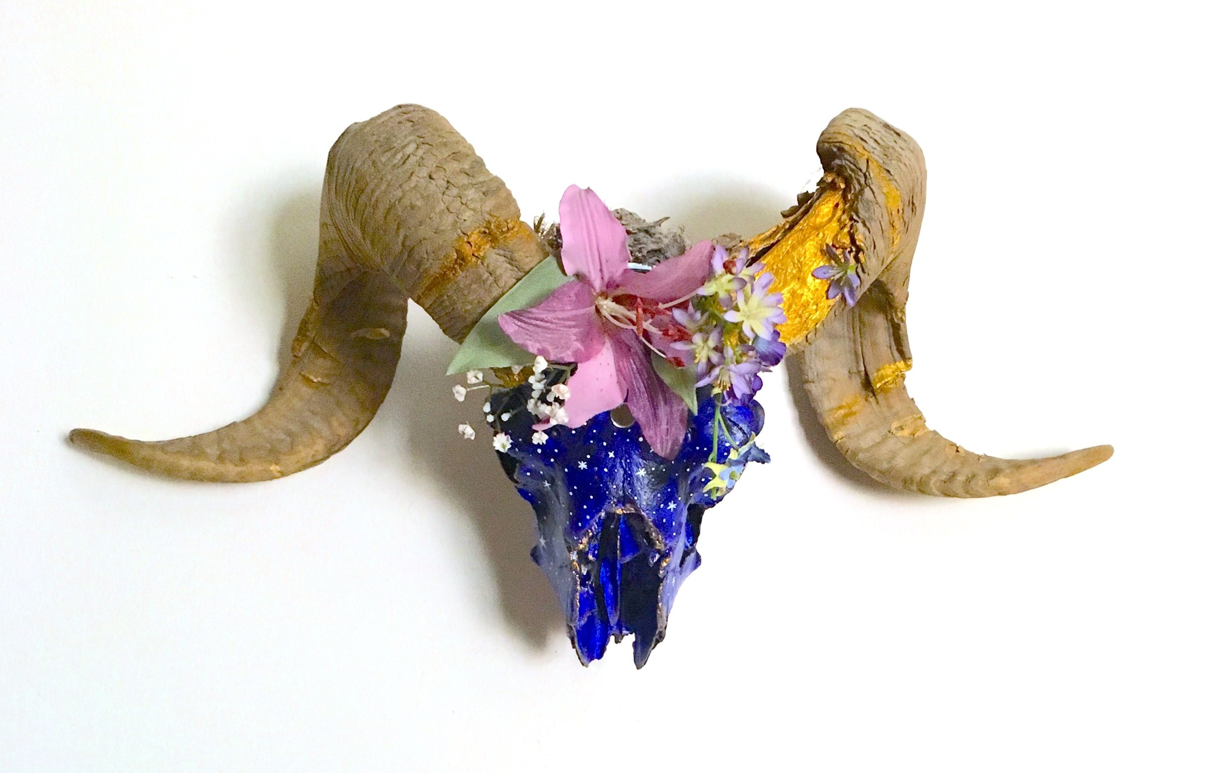 midnightskull:www.adrianamartinezartist.com.jpg.jpg