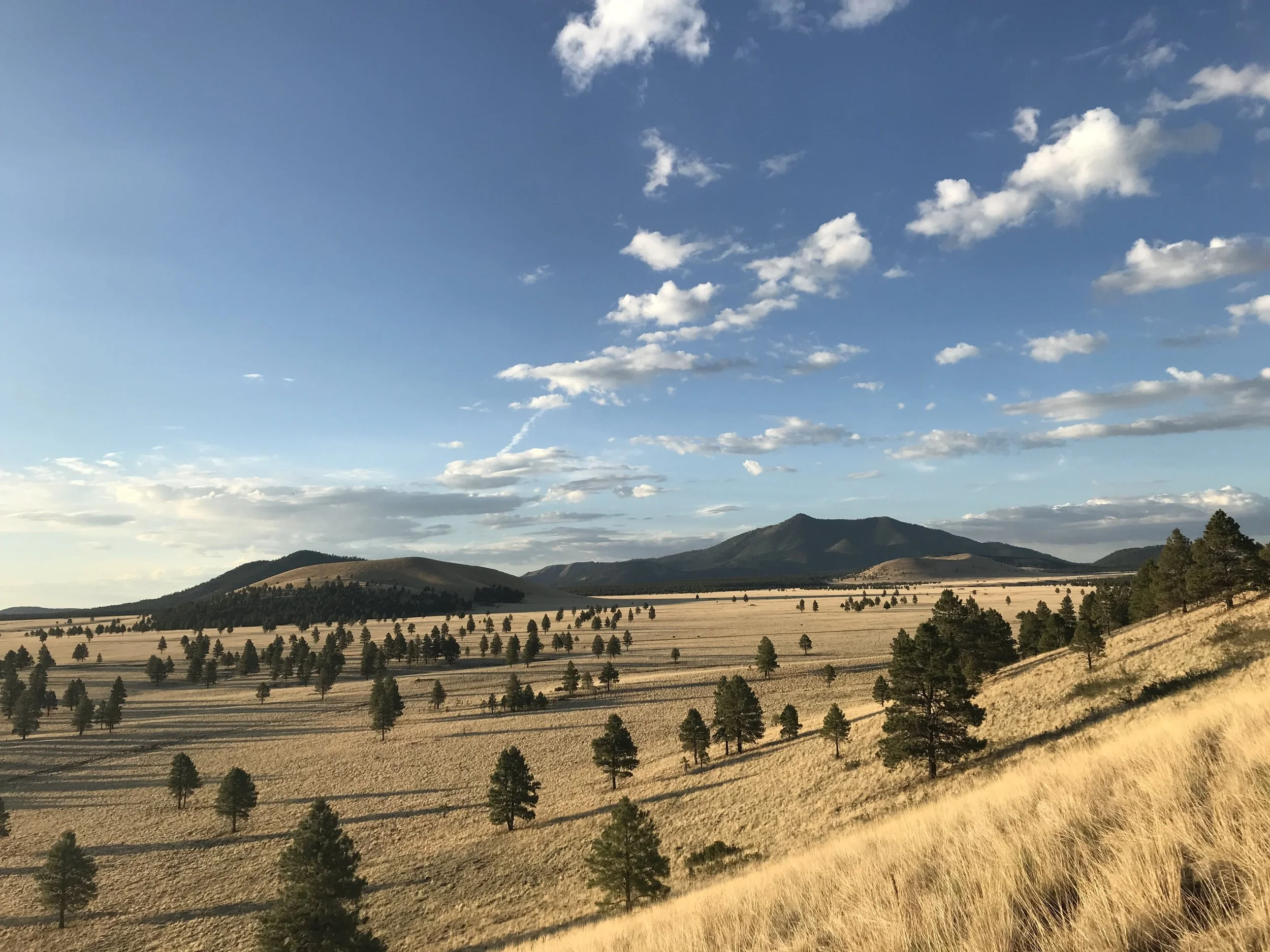 Pure Land Reading at SLO Library