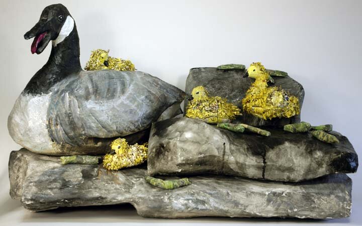 Goose, goslings, rocks and poop installation, 2017