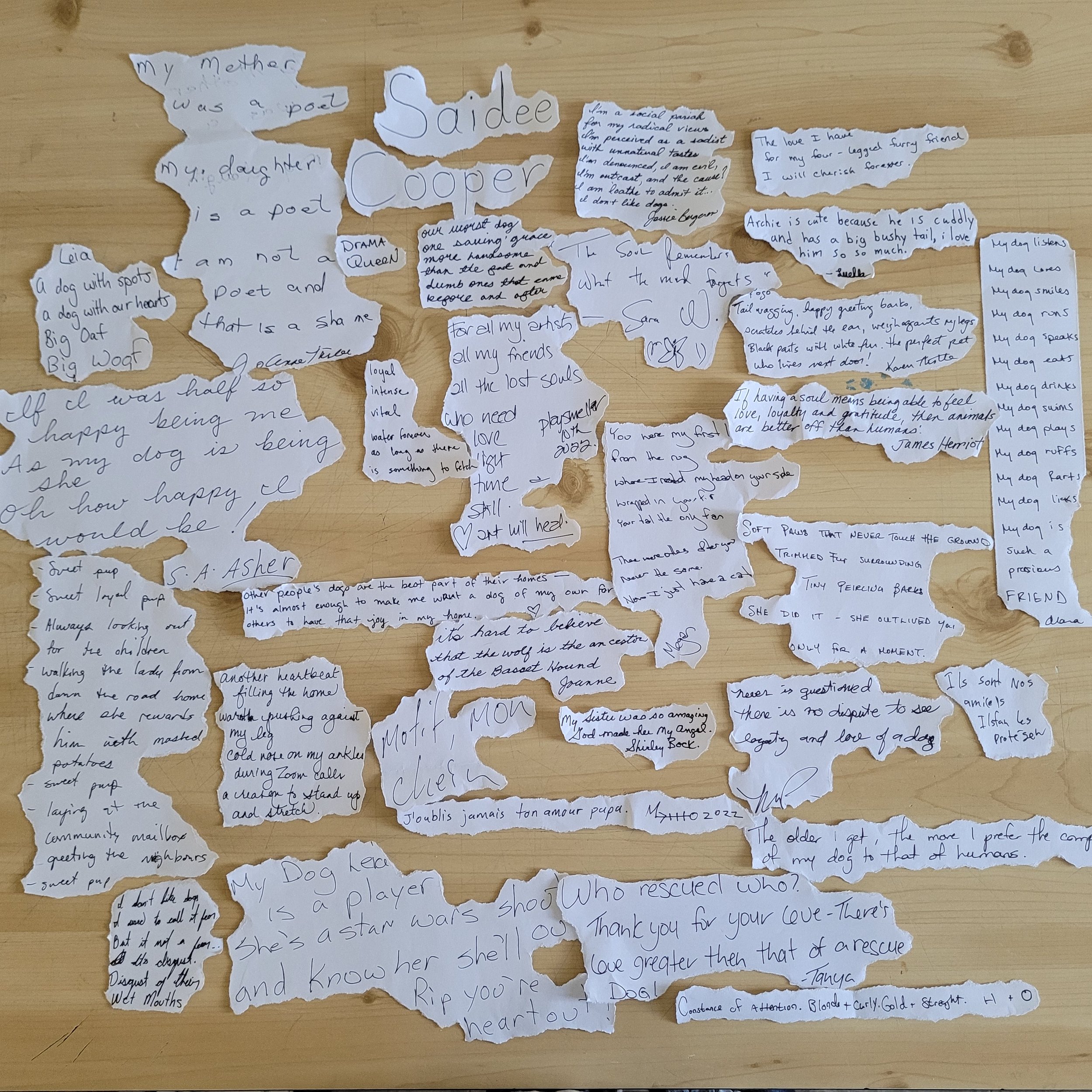 Audience writings for the Poetry Puppy.