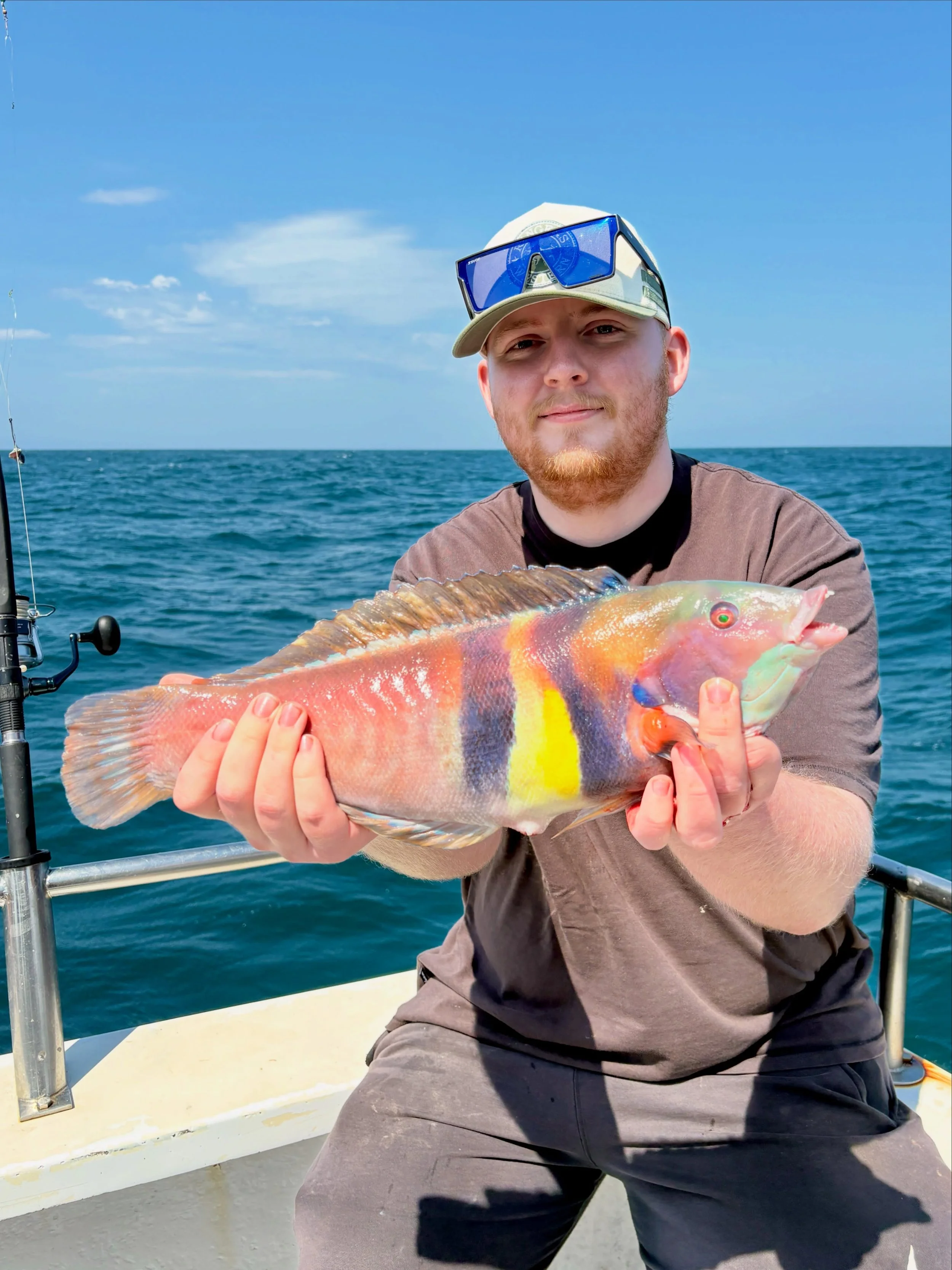 Not a fish we see every day. 🤩 This Eastern King Wrasse deserves its own shout out! 🙌