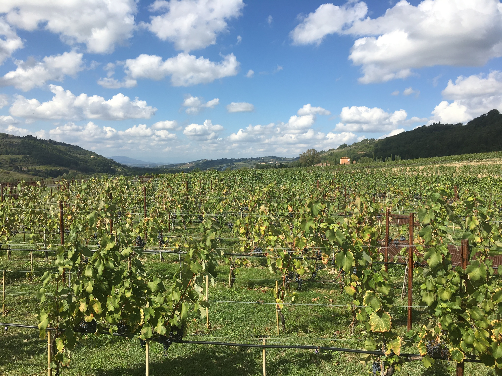 The Rolling Hills of Tuscany: Antinori nel Chianti