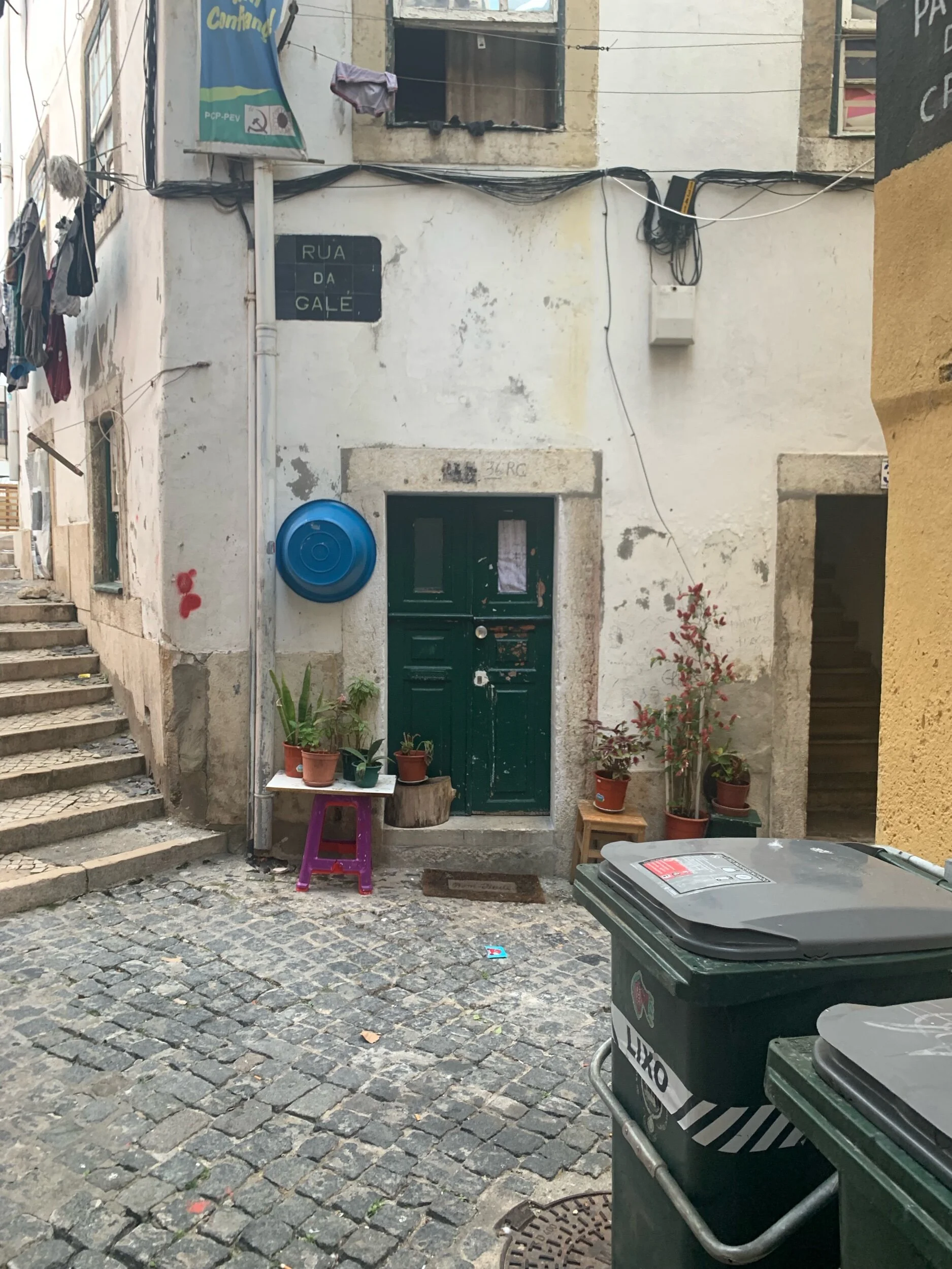 IMG_8188.jpeg