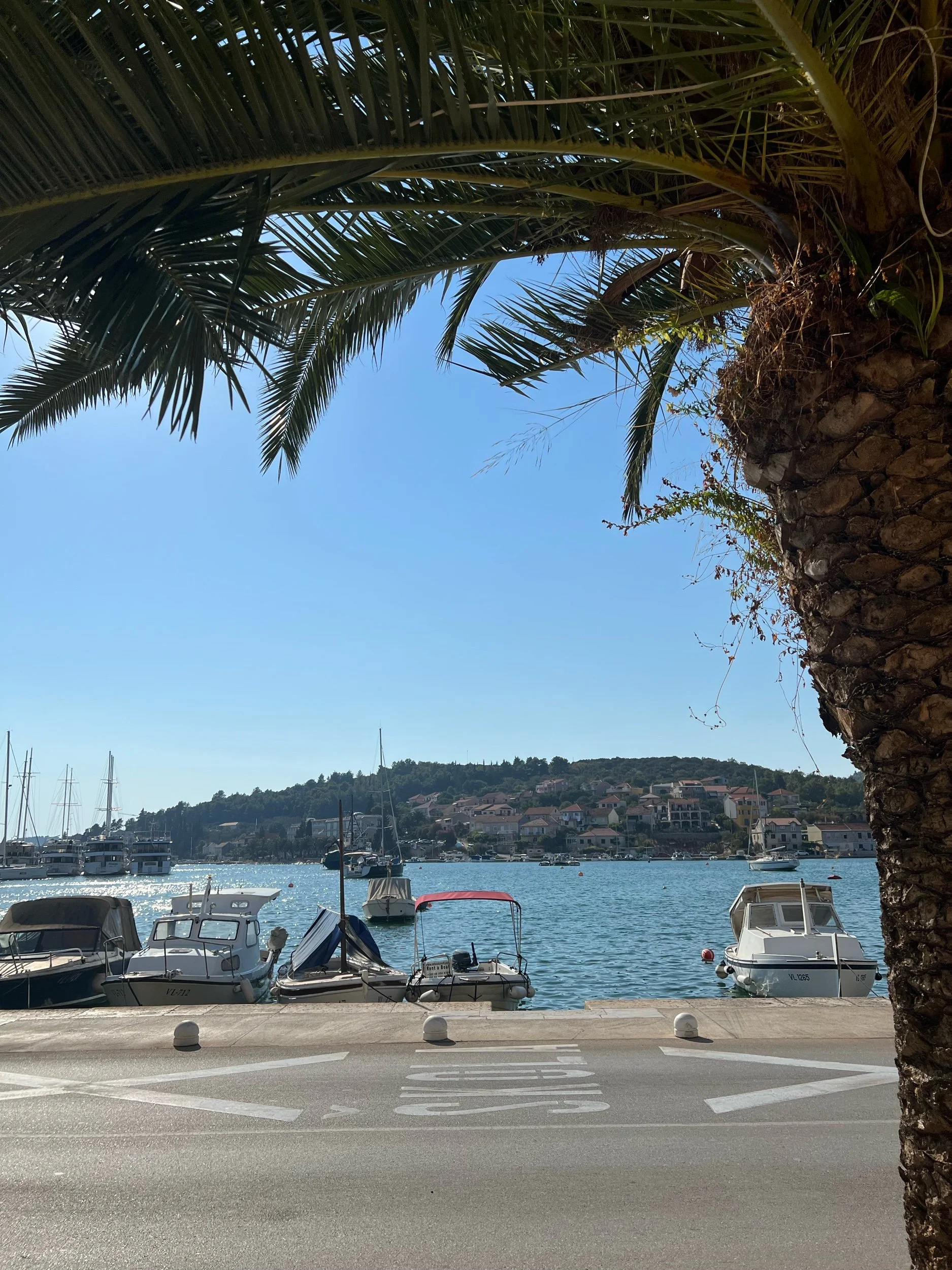 Day Five: Korcula/Vela Luka