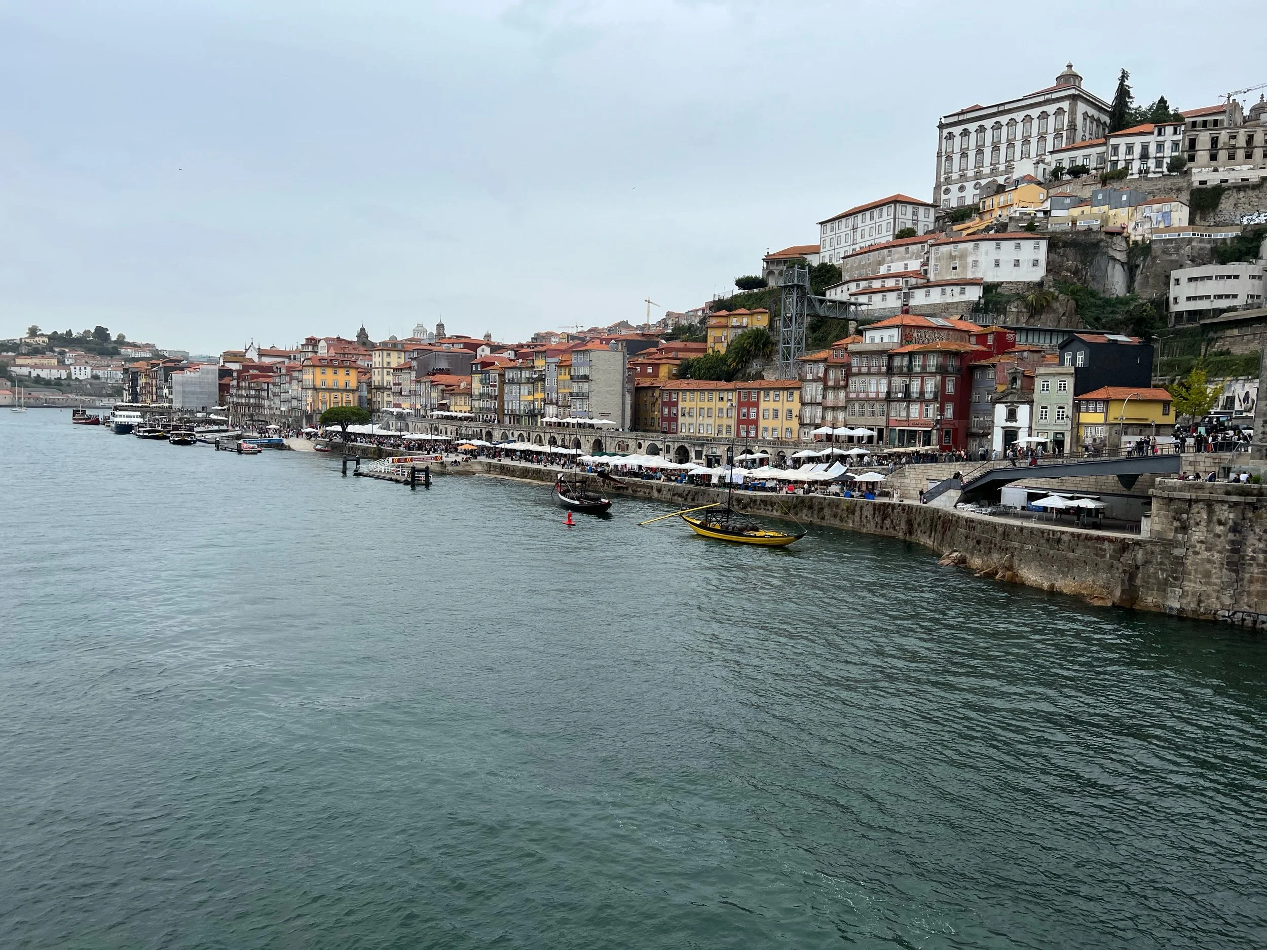 IMG_7703.jpeg