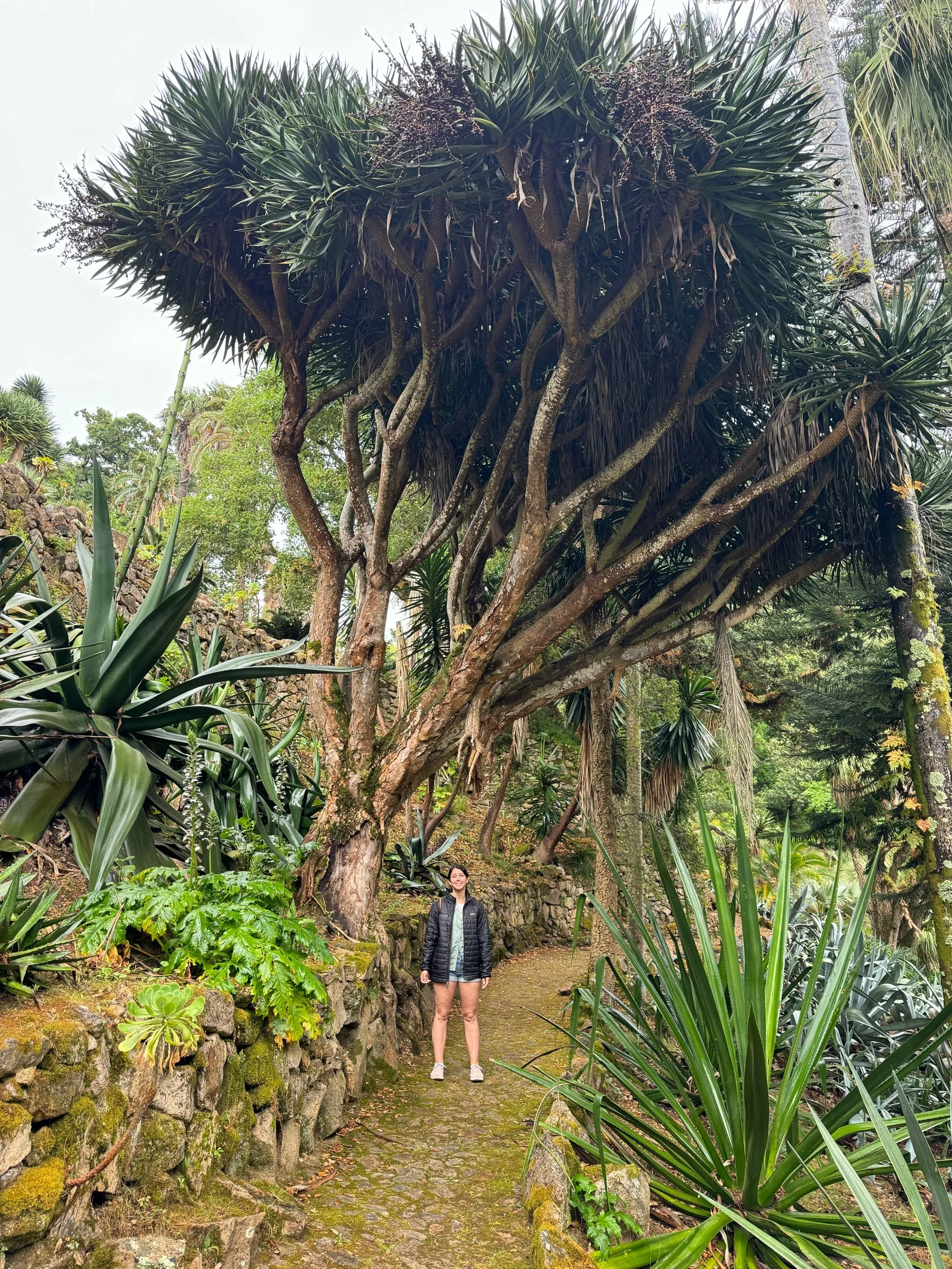 Exploring Sintra in the Rain