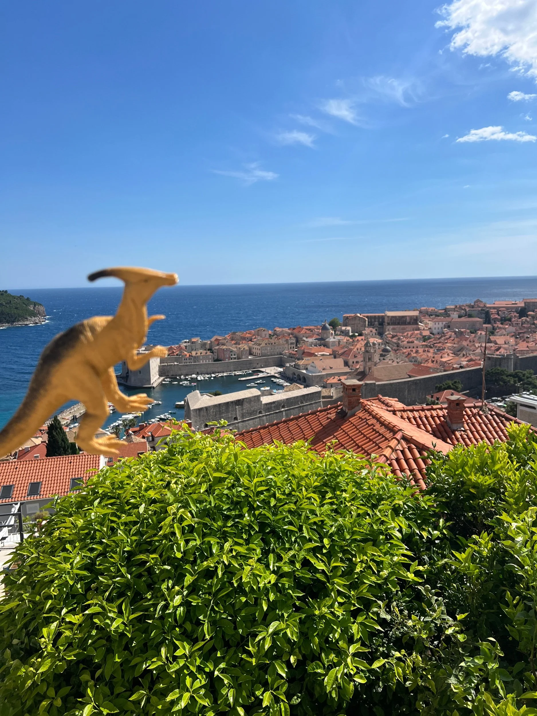 Flying Newark to Dubrovnik