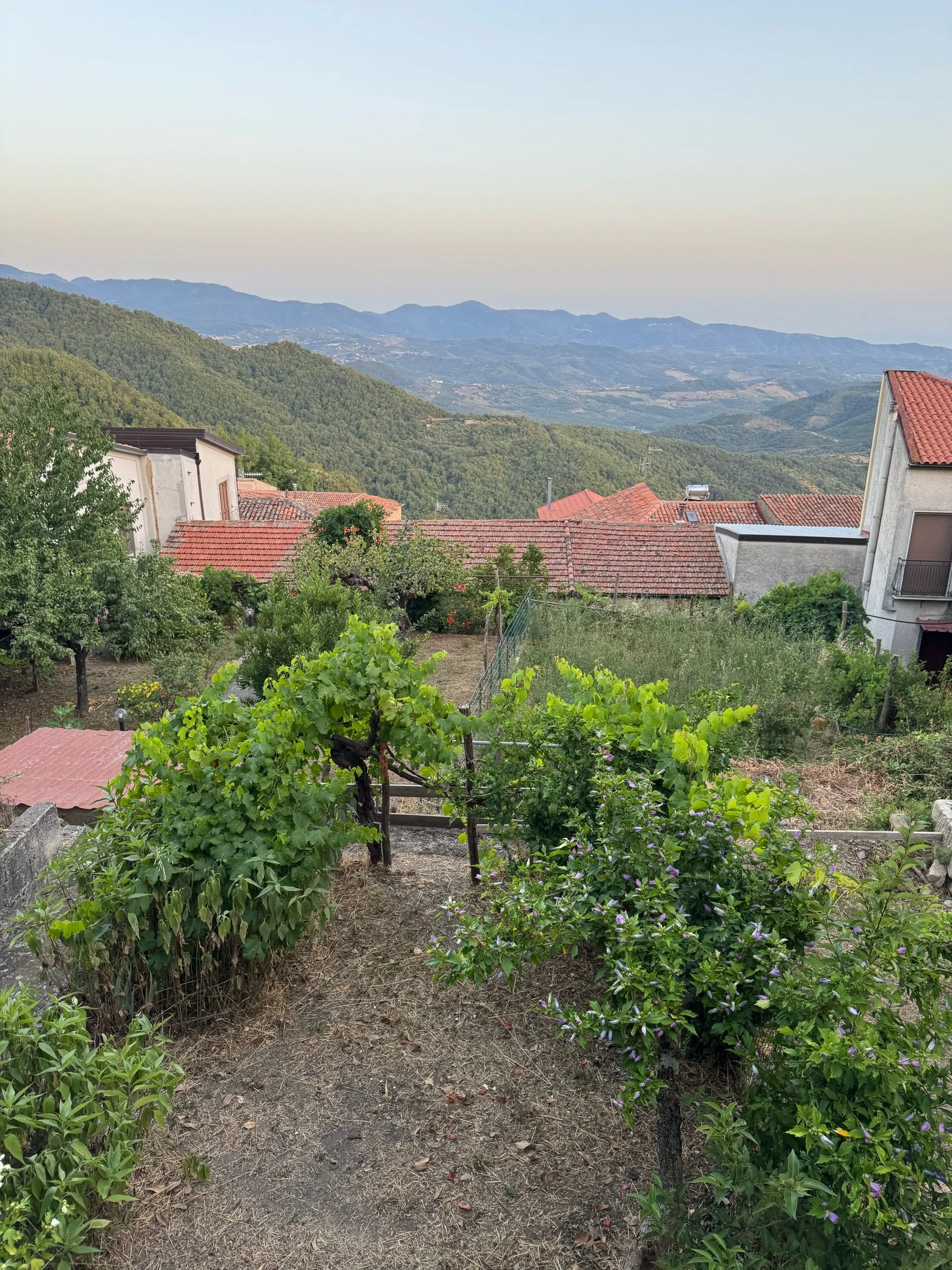 Thursday July 24: The Travel Day