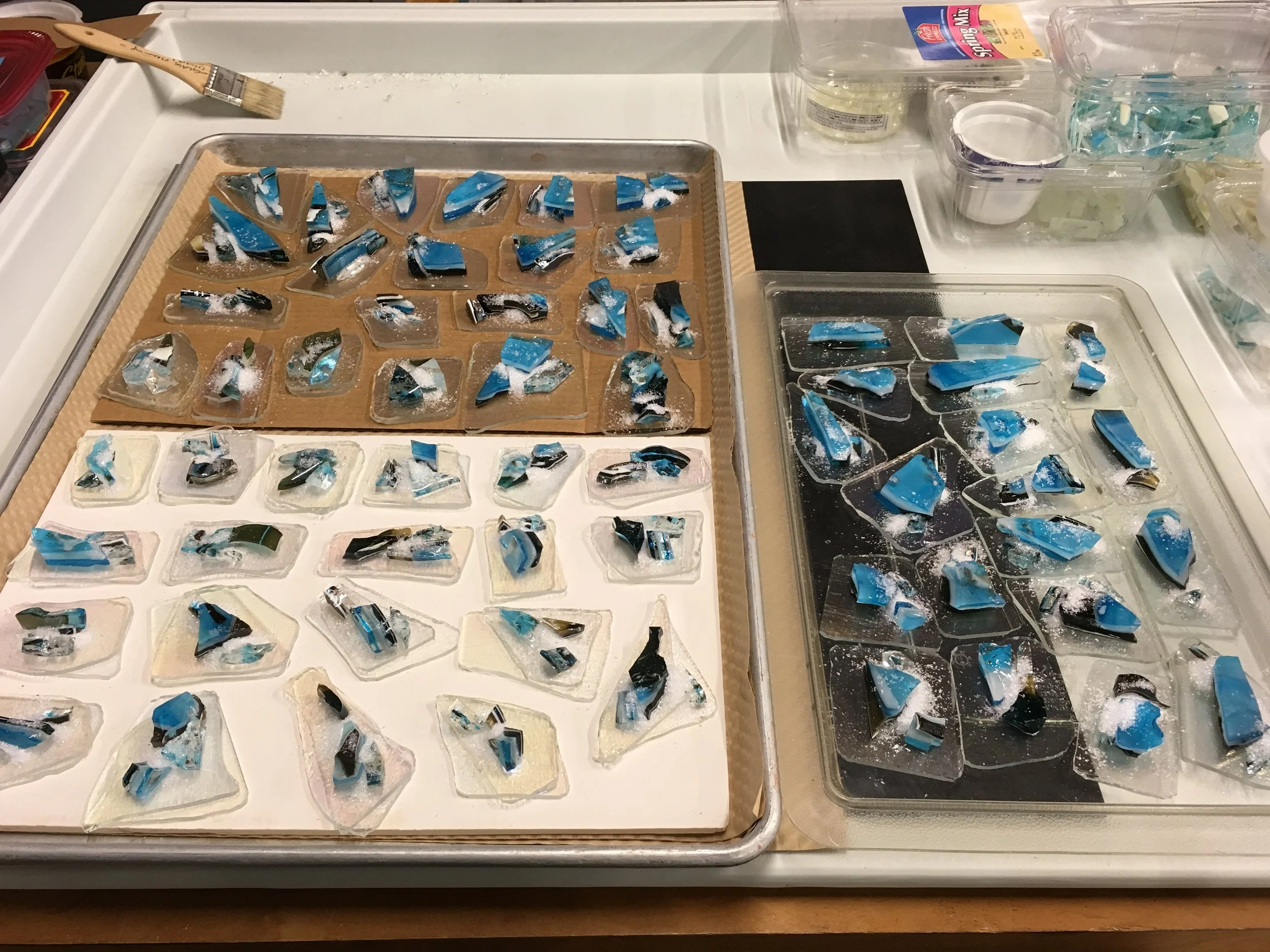 2018 CSA Water Minis Were a Hit. (3.4.18)