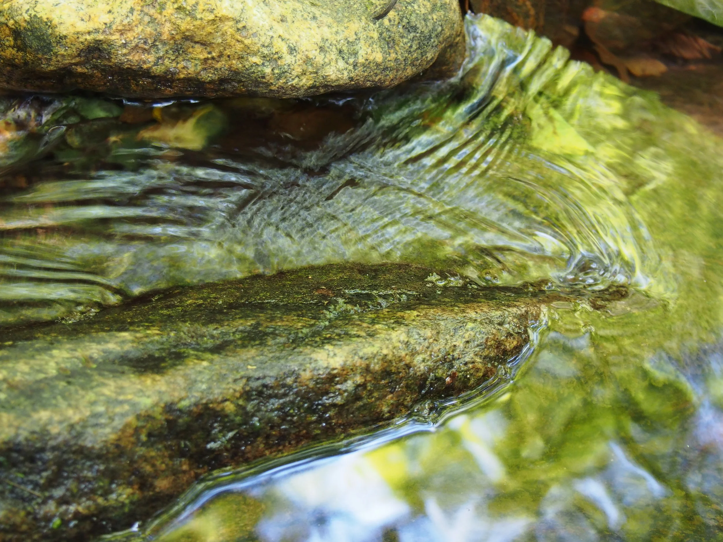 Years Helping Others & Hundreds of Rejections. (8.6.18)