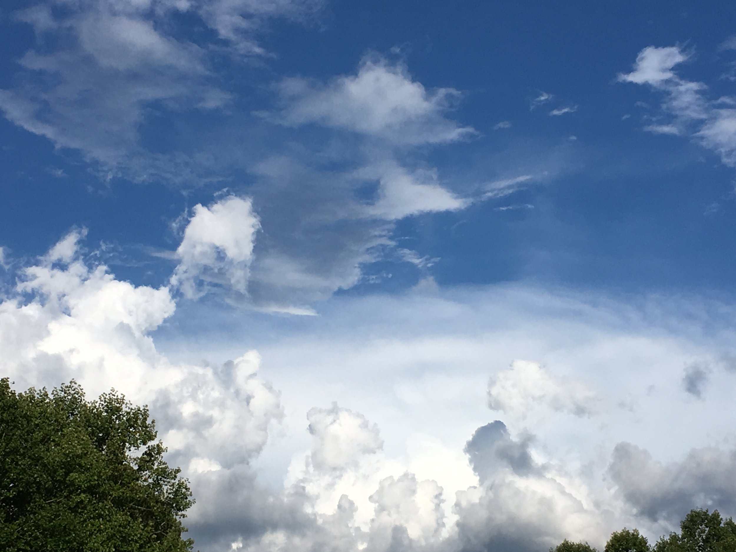 One of many incredible, beautiful blessings the Lord gave me during my residency at The Hambidge Center . It was gorgeous every day — regardless of the weather. (Picture does not even come close:)