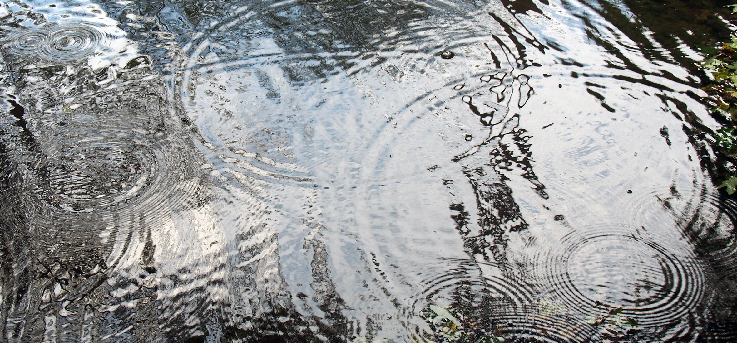 Towards the end of my residency at The Hambidge Center, I was finally able to capture the rain with powerful imagery. (These will be showing up in my 2019 water works:)